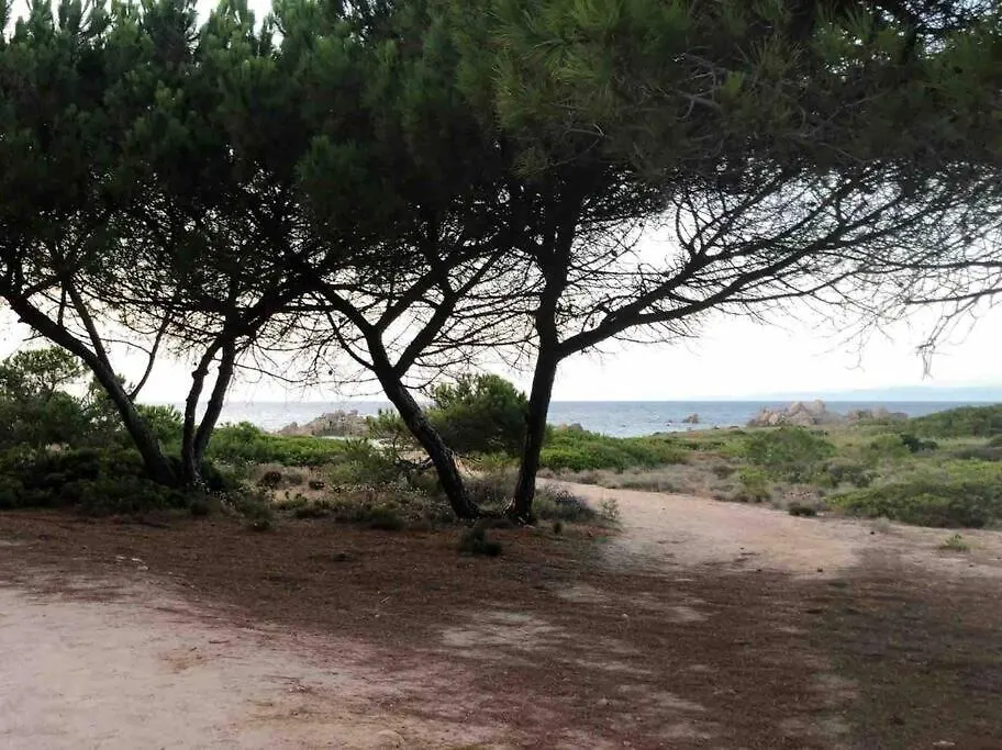La Pintadera - Heaven In Calarossa - Sardinia Lägenhet Isola Rossa  0*, Isola Rossa (Sassari) Italien